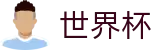 国际足联世界杯官方平台 · 官方登录入口